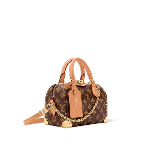 Louis Vuitton M28102 Speedy Trunk 20 Monogram Origine